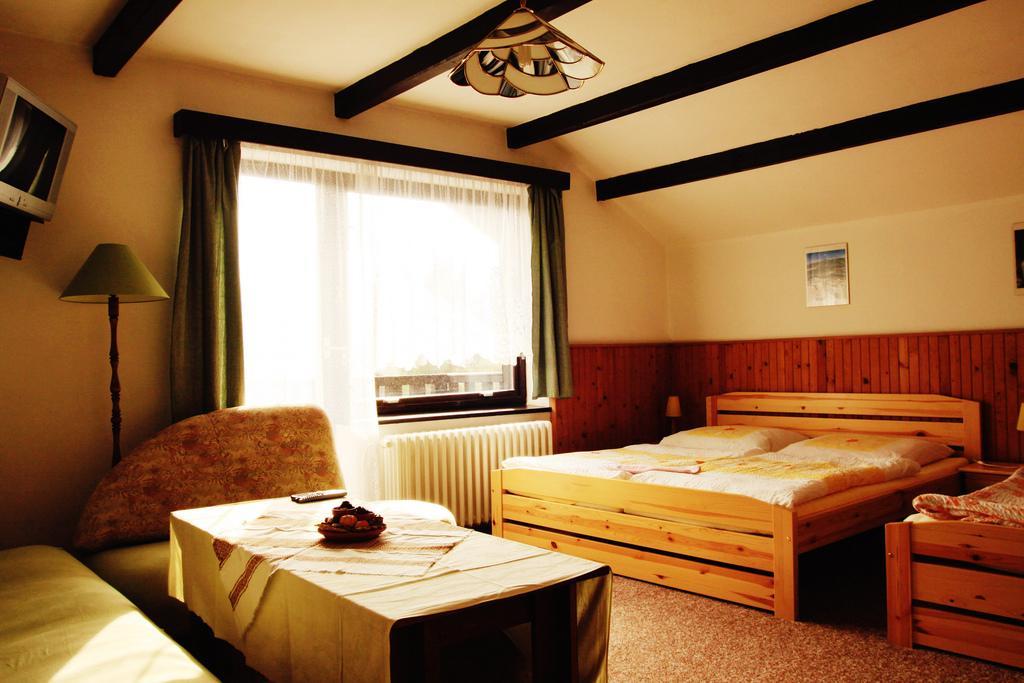 Pension Jana Harrachov Oda fotoğraf