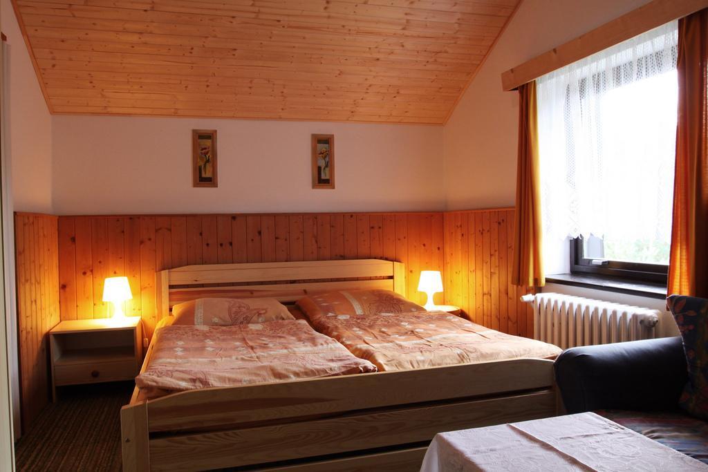 Pension Jana Harrachov Oda fotoğraf